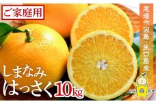 しまなみはっさく  家庭用八朔10kg（尾道市因島・生口島産）【2025年2月上旬から発送】