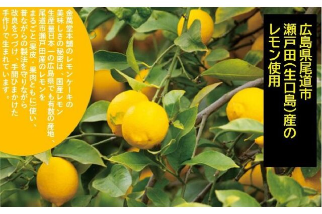 ふるさと納税 「瀬戸田レモンケーキRemoRemo 15個セット」 広島県尾道