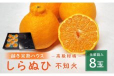 高級柑橘 贈答用越冬完熟ハウスしらぬひ（デコポンと同品種）化粧箱８玉 産地直送 瀬戸田もりの農園