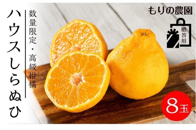2024春夏広島　柑橘お問い合わせ　デコポン発送可能 果物