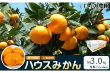 瀬戸田産ハウスみかん(ご家庭用)3キロ＜7月1日～順次発送＞ドルチェみかん