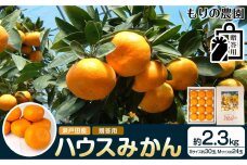 瀬戸田産ハウスみかん（贈答用）約2.3キロ 化粧箱 贈り物 ギフトドルチェみかん 