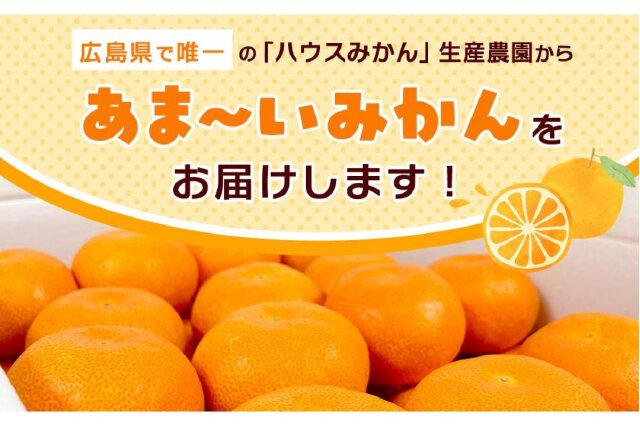 みかん せとか Lサイズ 9玉（約1.7kg）みかんのおと みかん 愛媛 先行