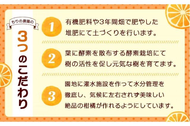 とろける甘さの 瀬戸田産 5㎏箱入 プチみかん いしじ 6301-20221118-01.jpg