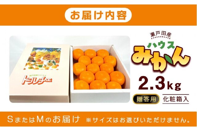 【みかん専用】トップス 佐賀県産 JAからつ はまさき 小玉 SSサイズ 2.5キロ (20から25玉