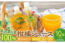 そのまんま100％柑橘ジュース詰合せ10本セット