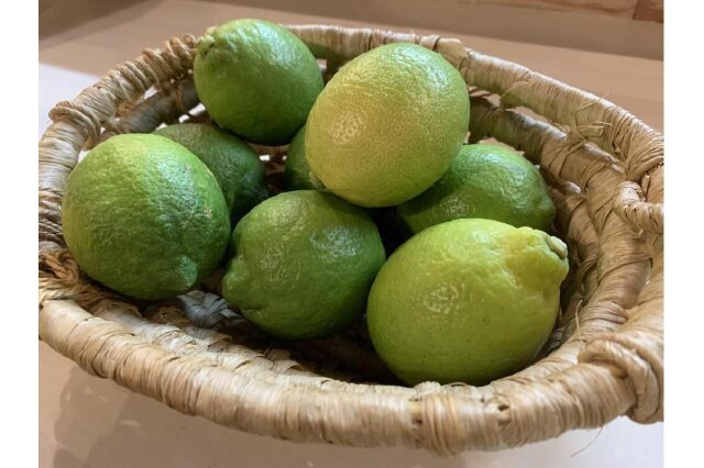 ふるさと納税 「自然農グリーンレモンと自然農柑橘商品の詰め合わせ