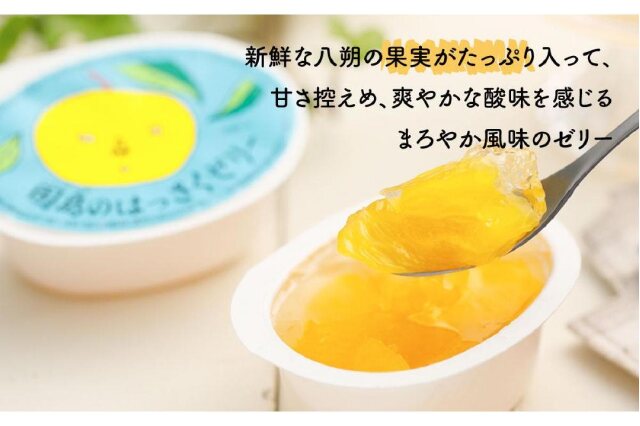 ふるさと納税 「因島のはっさくゼリー（78g×5個） 3箱 15個セット