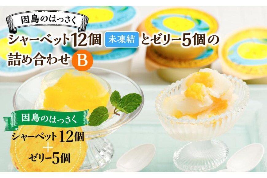 因島のはっさくシャーベット(未凍結）とゼリーの詰め合わせB （シャーベット12個、ゼリー5個）