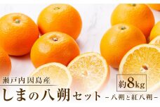 しまの八朔セット約8kg（Mサイズ程度　約30個　紅八朔と八朔）＜2025年1月下旬から発送＞