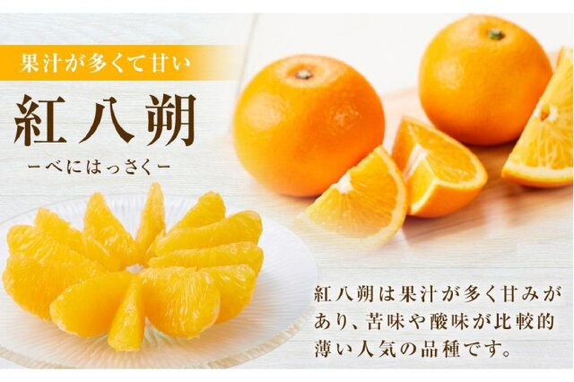 ふるさと納税 「しまの八朔セット約8kg（Mサイズ程度 約30個 紅八朔と