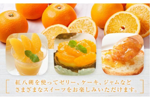 ふるさと納税 「しまの八朔セット約8kg（Mサイズ程度 約30個 紅八朔と