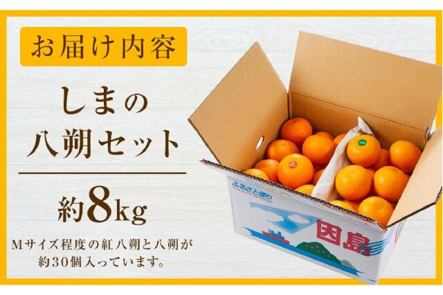 八朔合馬 先行予約＞家庭用はっさく7.5kg+250g（傷み補償分）【八朔みかん