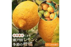 【先行受付】自然農法による瀬戸田レモン1kgと季節の柑橘詰め合わせ4kg（2024年１月～3月お届け