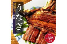 国産 うなぎの蒲焼き 特大 180g×2尾 タレ・山椒付［3-4人前］