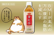 黄杞茶 PET500ＭＬ×24本(機能性表示食品)