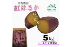 生芋(紅はるか) 5kg（サイズS～L混合）