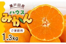 とろけるような完熟ハウスみかん1.3キロ＜7月1日～順次発送＞
