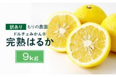 【訳あり】完熟はるか 9kg ドルチェみかん 2026年2月中旬より発送予定
