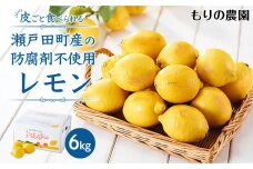 【レモン島から贈る】安心の国産レモン6kg 2026年1月15日より順次発送