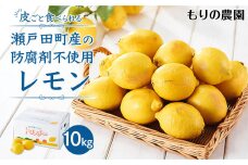 【レモン島から贈る】安心の国産レモン10kg 2026年1月15日より順次発送