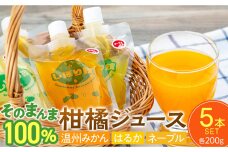 そのまんま100％柑橘ジュース詰合せ5本セット