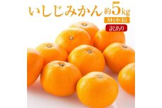 【訳あり】いしじみかん　小玉　5kg