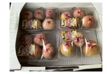 【先行予約】尾道のいちじく「蓬莱柿/ほうらいし」300g/パック×4パック【9月初旬以降発送】