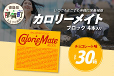 【大塚製薬】カロリーメイト ブロック 4本入り×30箱 ≪チョコレート味≫ AA-1-4