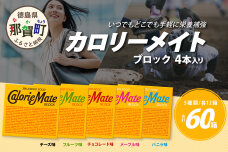 【大塚製薬】カロリーメイトブロック 4本入り 合計60箱 5種類×各12箱 MS-2