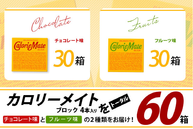 ふるさと納税 「【大塚製薬】カロリーメイト ブロック 4本入り