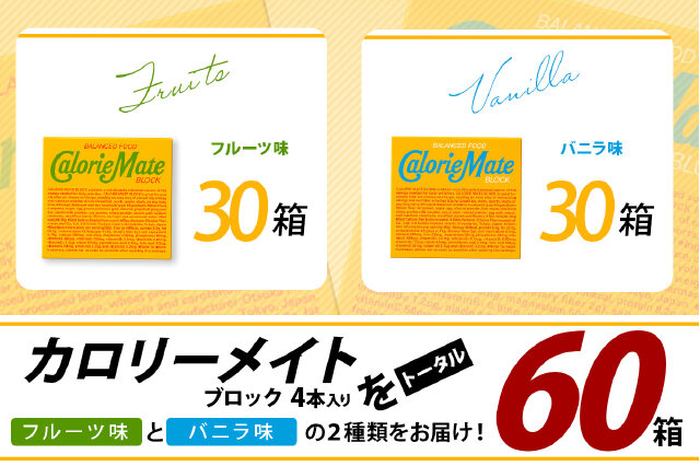 ふるさと納税 「【大塚製薬】カロリーメイト ブロック 4本入り