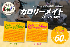 【大塚製薬】カロリーメイト ブロック 4本入り フルーツ味30箱＋メープル味30箱 MS-4-9