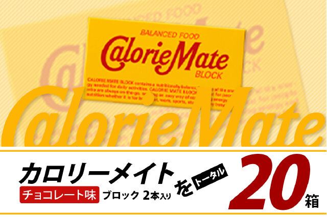 ふるさと納税 「【大塚製薬】カロリーメイト ブロック 2本入り 20箱
