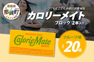 【大塚製薬】カロリーメイト ブロック 2本入り 20箱 ≪フルーツ味≫ MS-5-3