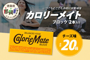 【大塚製薬】カロリーメイト ブロック 2本入り 20箱 ≪チーズ味≫ MS-5-4