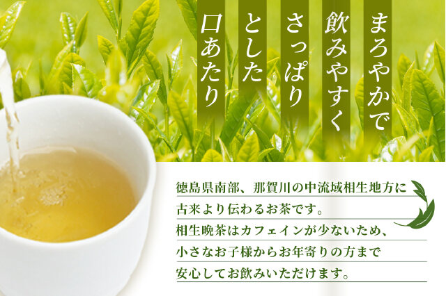 ふるさと納税 「【先行予約】【新茶】手造り発酵茶 相生晩茶 200g TN