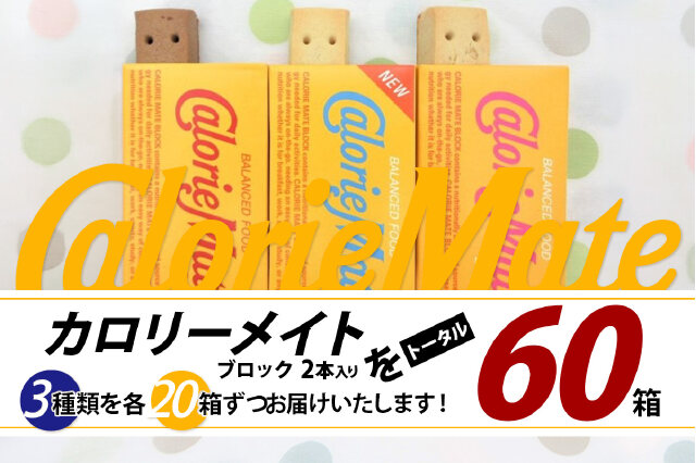 ふるさと納税 「カロリーメイト ブロック 2本入り 3種類 各20箱 計60箱