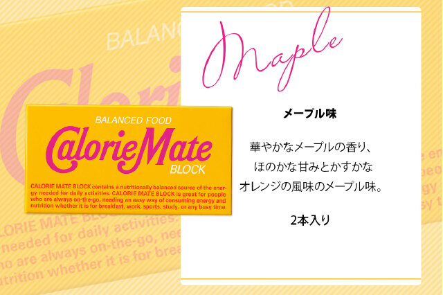ふるさと納税 「カロリーメイト ブロック 2本入り 3種類 各20箱 計60箱