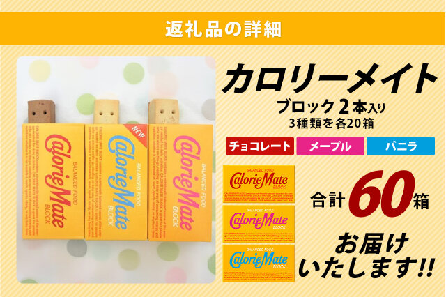 ふるさと納税 「カロリーメイト ブロック 2本入り 3種類 各20箱 計60箱