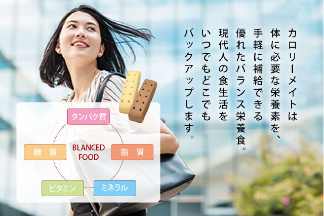 ふるさと納税 「カロリーメイト ブロック 4本入り 3種類 各20箱 計60箱