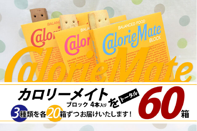 ふるさと納税 「カロリーメイト ブロック 4本入り 3種類 各20箱 計60箱