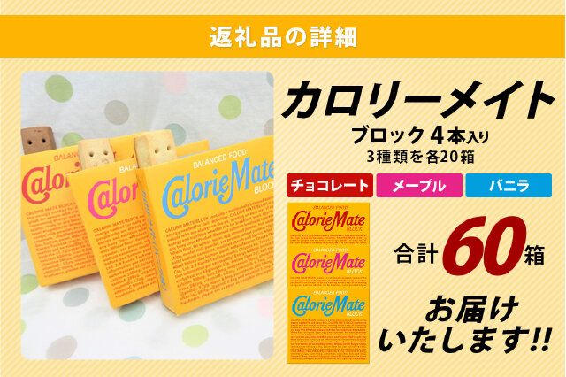 ふるさと納税 「カロリーメイト ブロック 4本入り 3種類 各20箱 計60箱