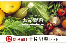 【全12回お届け】土佐野菜セット