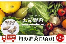 『定期便 全3回』無農薬生姜200gと旬の野菜の詰め合わせ【土佐野菜】