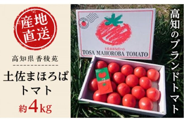 ふるさと納税 「【産地直送新鮮野菜】南国市ブランドトマト「土佐まほろばトマト」詰め合わせセット4kg【高知県産野菜】」 高知県南国市 - ふるさと納税 の「ふるさとぷらす」