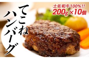 土佐和牛100％てこねハンバーグ　デミソース付き（200g×10個）