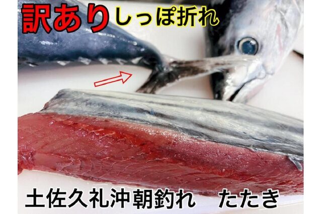 ふるさと納税 「【訳ありしっぽ折れ】生鰹たたき650g」 高知県南国市 - ふるさと納税の「ふるさとぷらす」