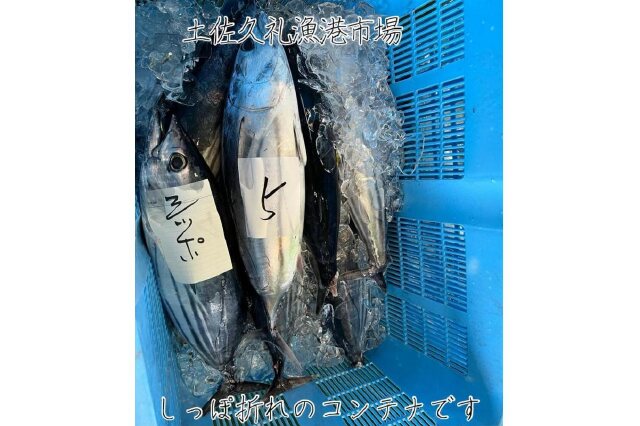 ふるさと納税 「【訳ありしっぽ折れ】生鰹たたき650g」 高知県南国市 - ふるさと納税の「ふるさとぷらす」