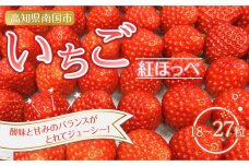 南国市産いちご ２パック（18～27粒）